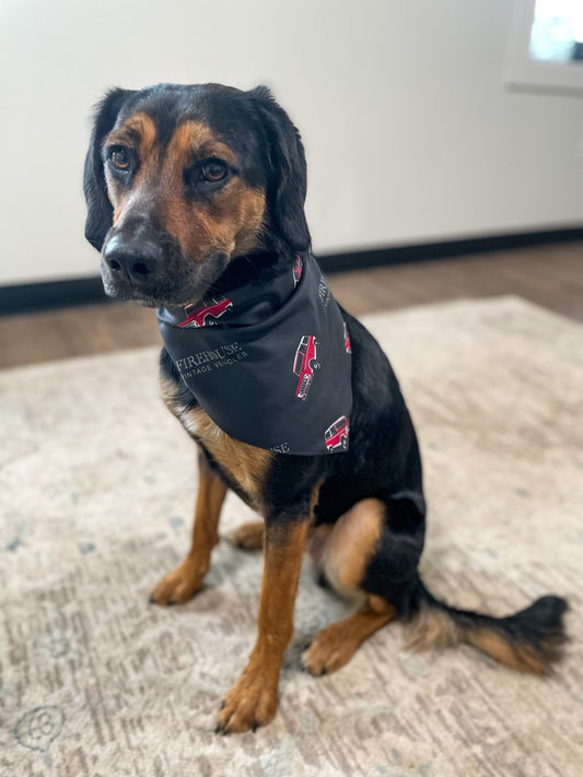 Early Bronco Dog Bandana