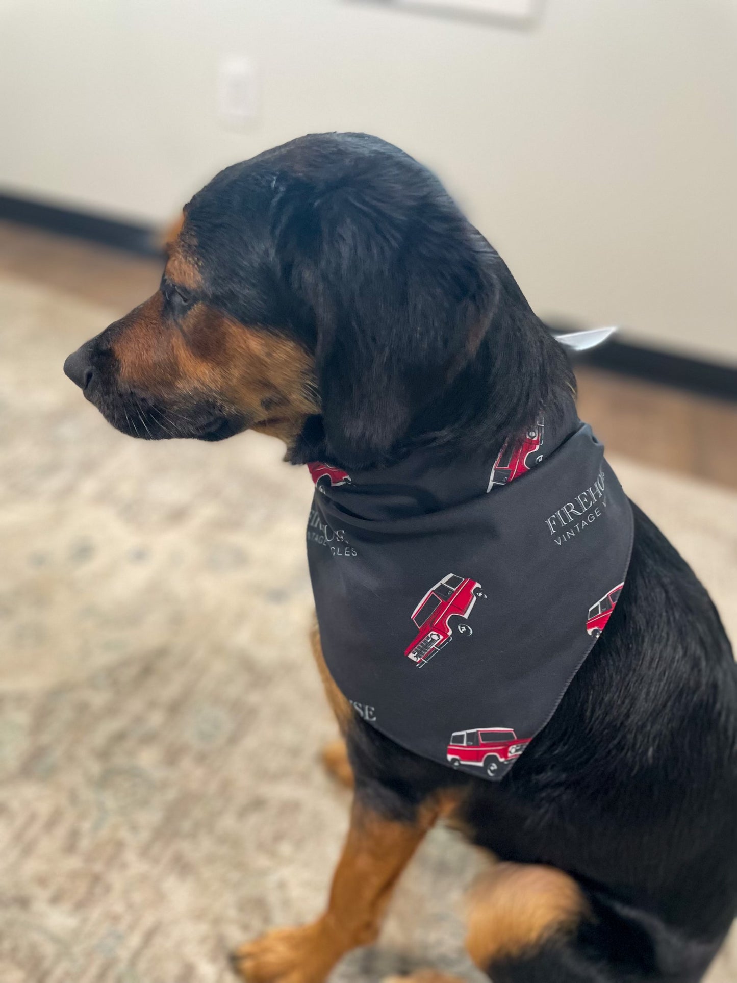 Early Bronco Dog Bandana